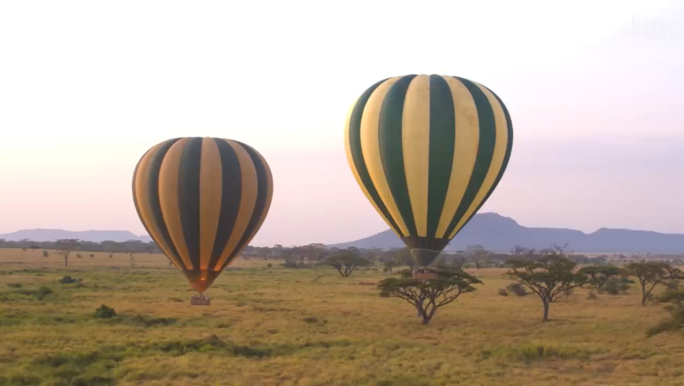 Hot Air Balloon